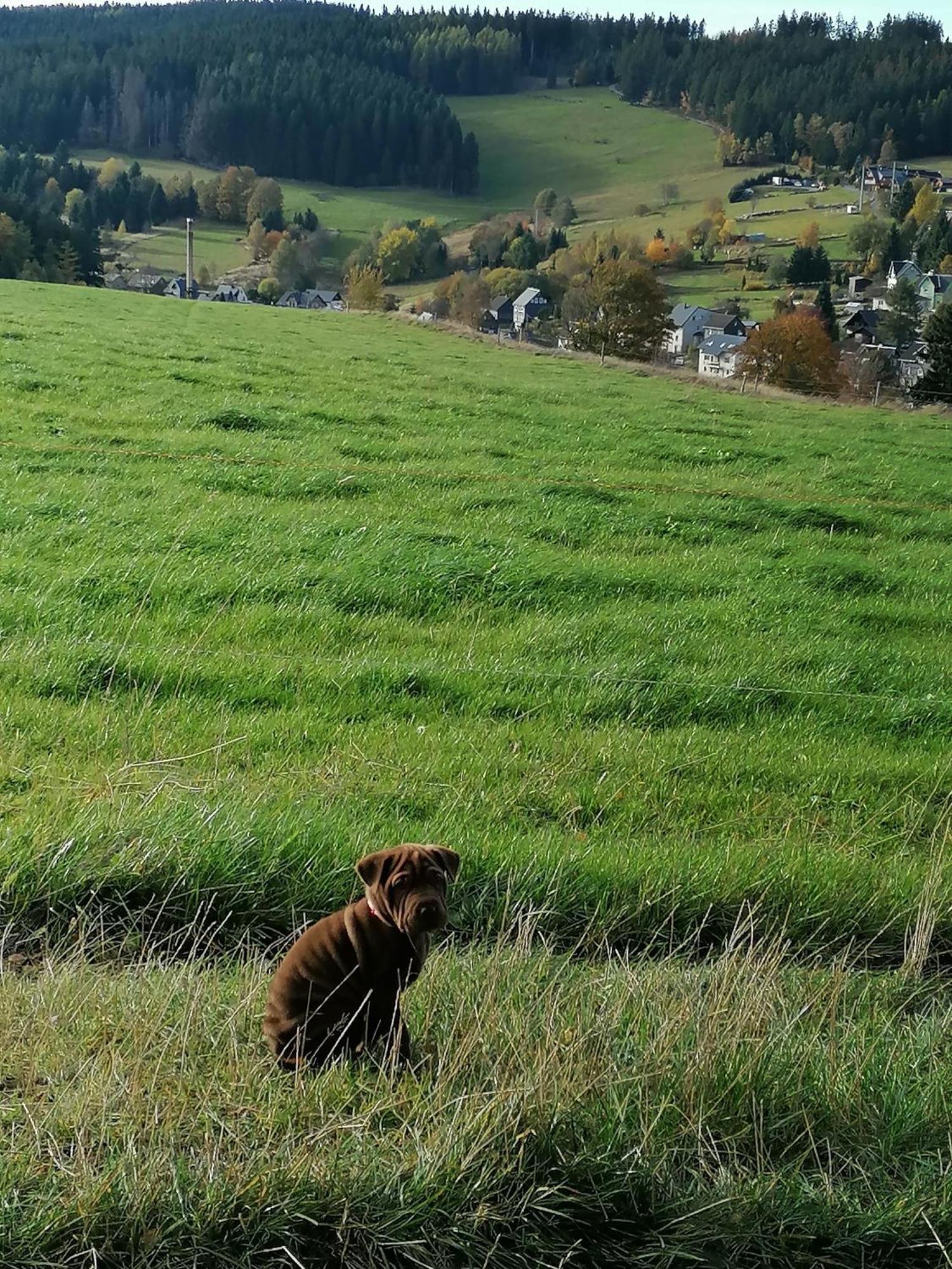 Grosse Am Rennsteig Neuhaus am Rennweg